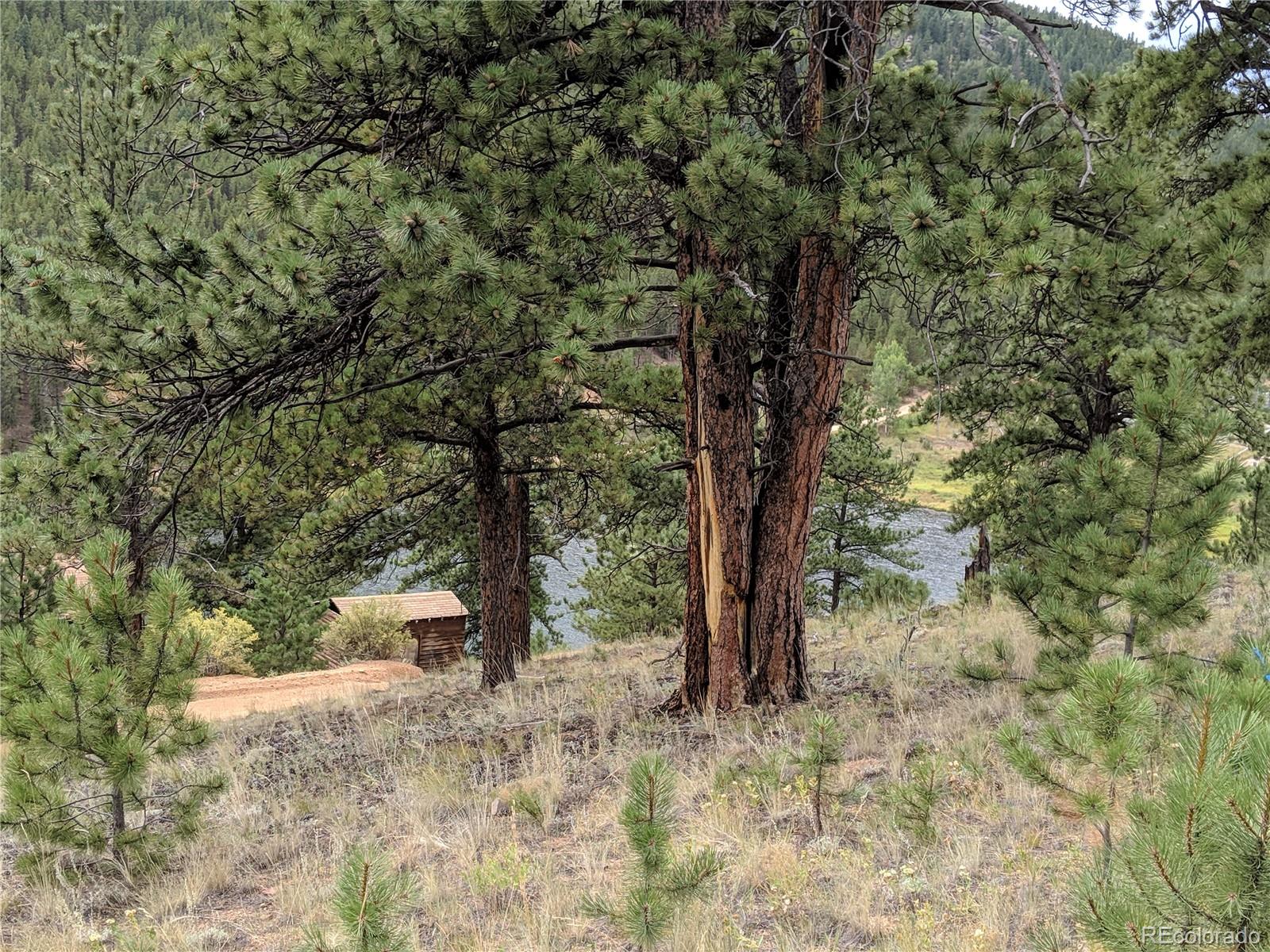 693 Gross Road Bailey, CO 80421 - Photo 1 of 23