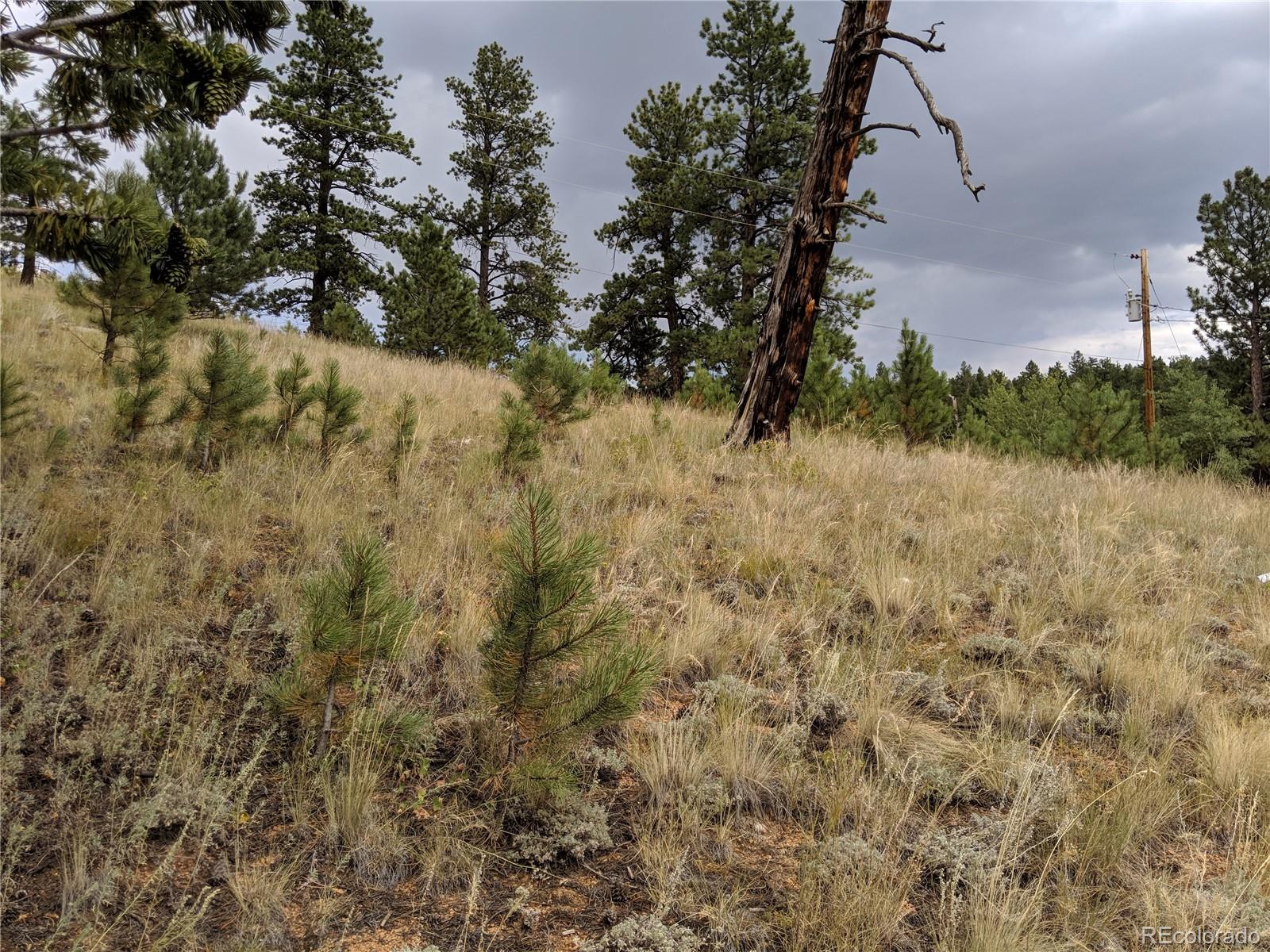 693 Gross Road Bailey, CO 80421 - Photo 15 of 23
