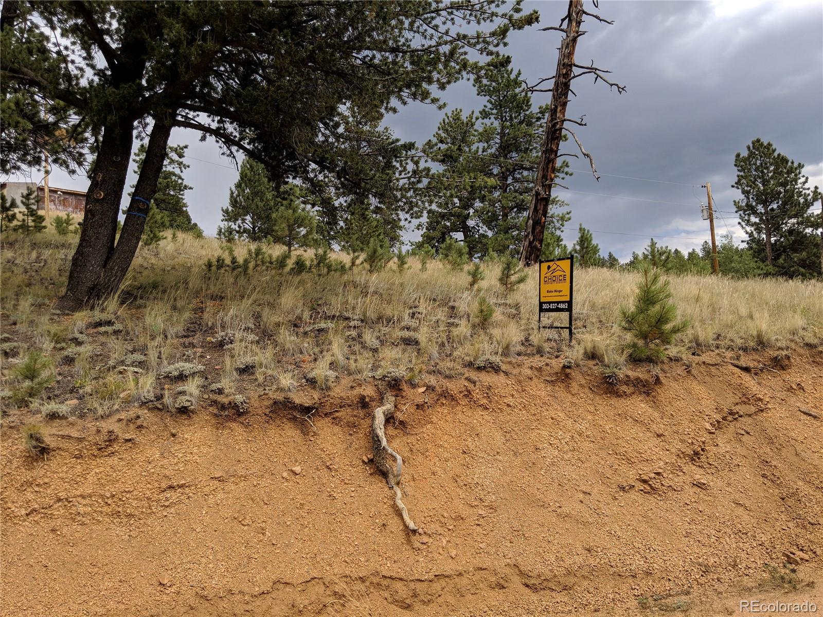 693 Gross Road Bailey, CO 80421 - Photo 20 of 23