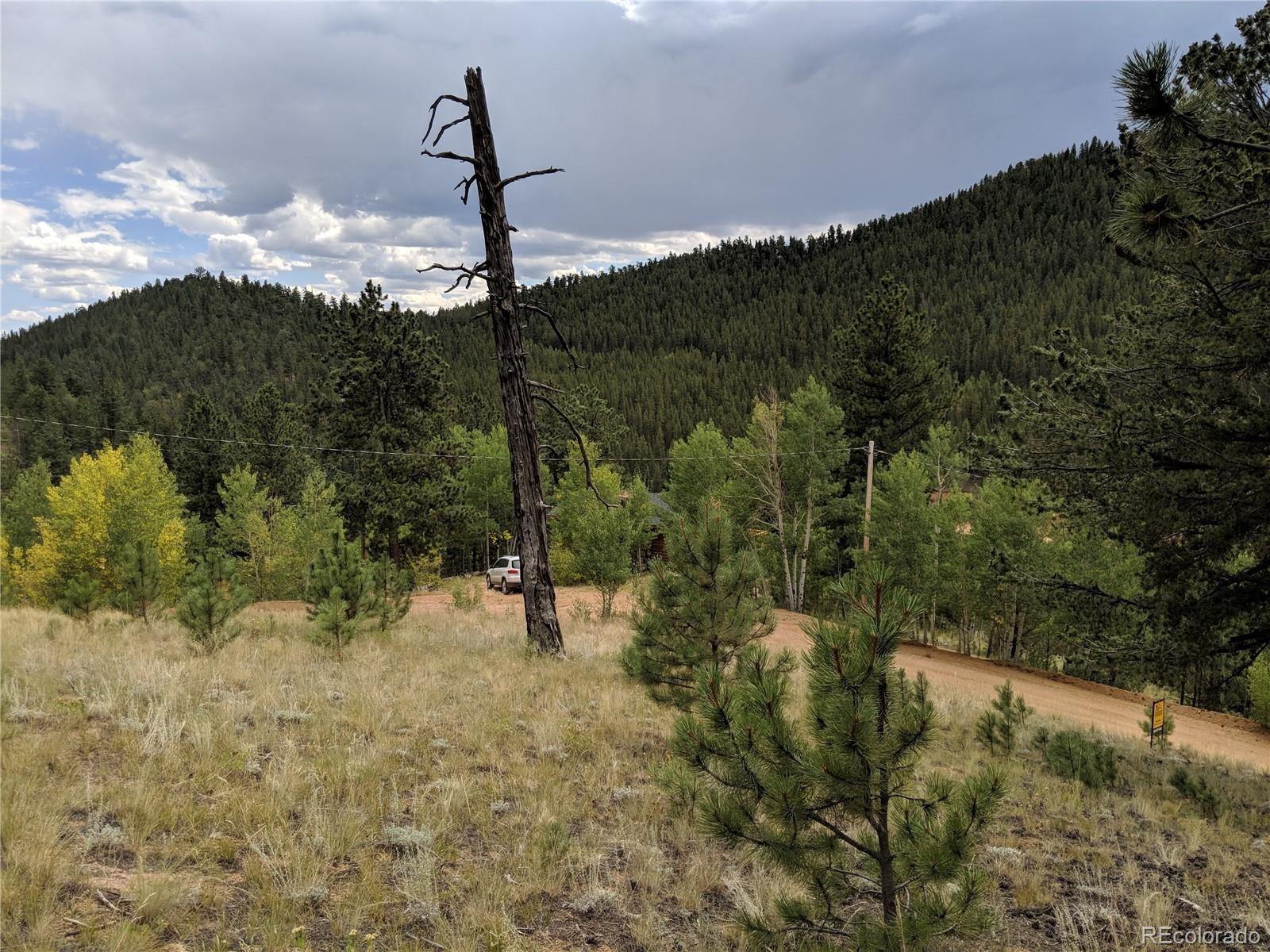 693 Gross Road Bailey, CO 80421 - Photo 2 of 23