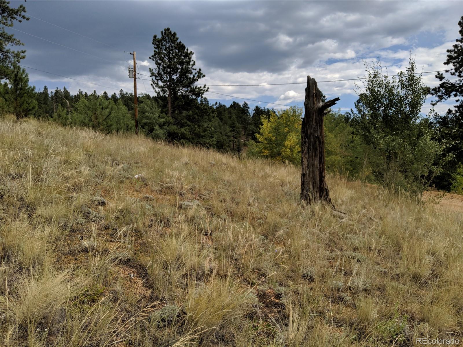 693 Gross Road Bailey, CO 80421 - Photo 23 of 23