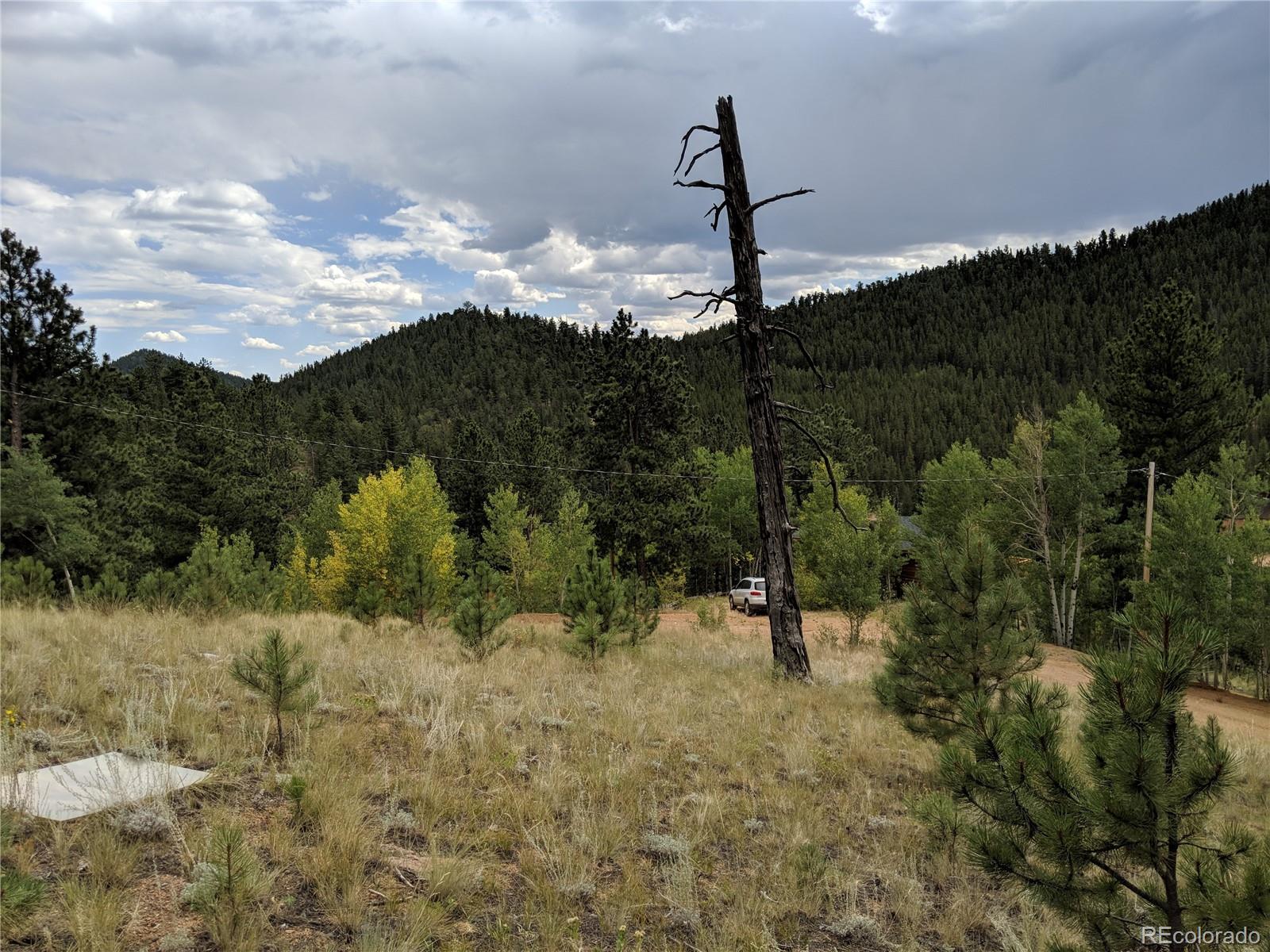 693 Gross Road Bailey, CO 80421 - Photo 3 of 23