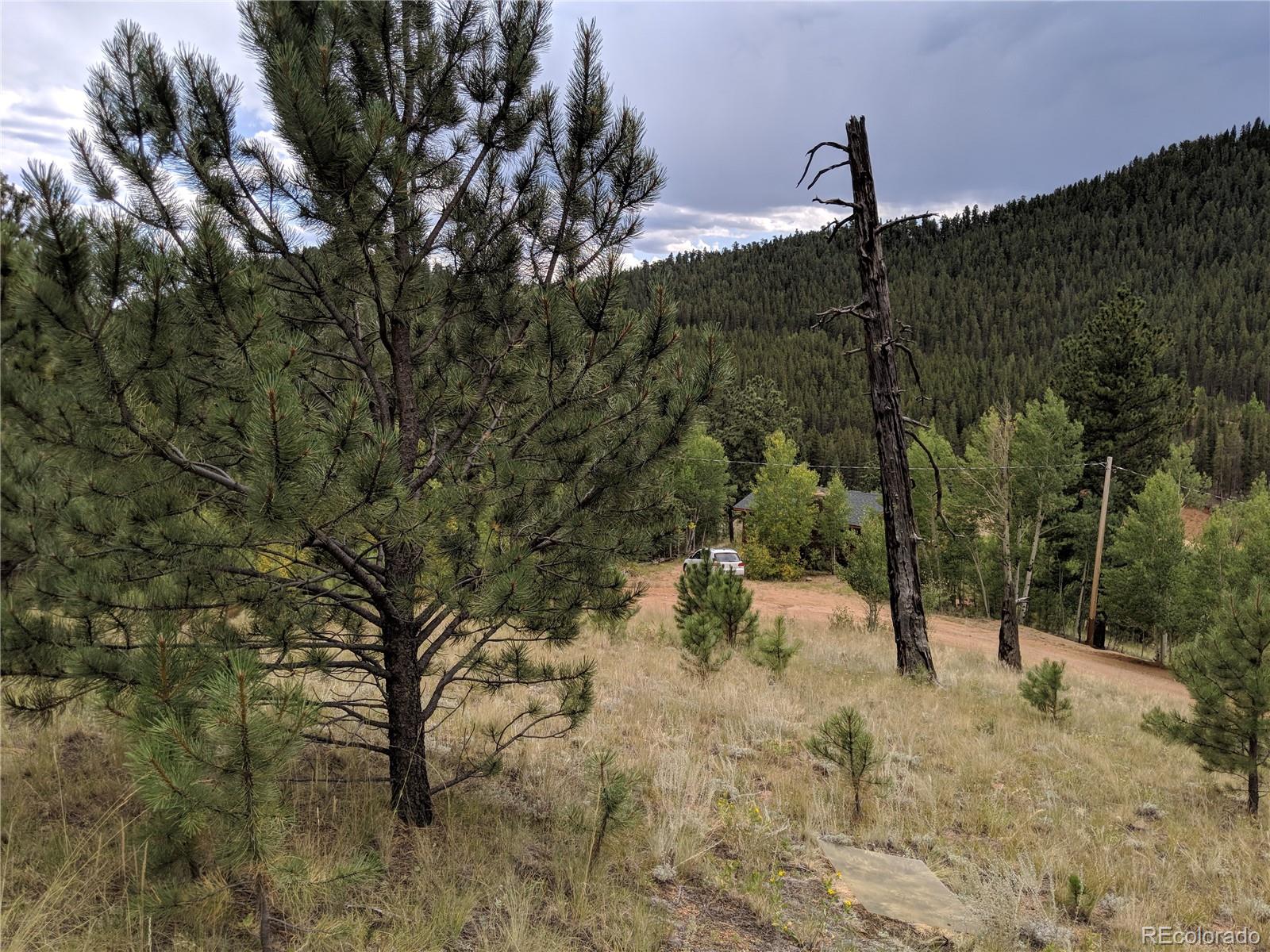 693 Gross Road Bailey, CO 80421 - Photo 4 of 23