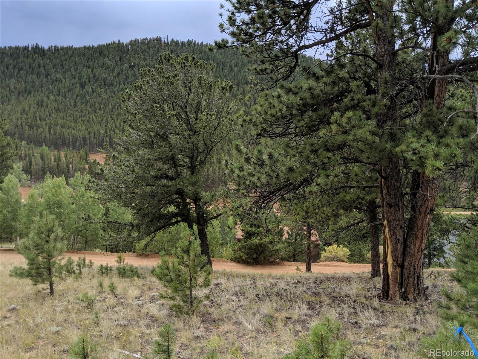693 Gross Road Bailey, CO 80421 - Photo 5 of 23