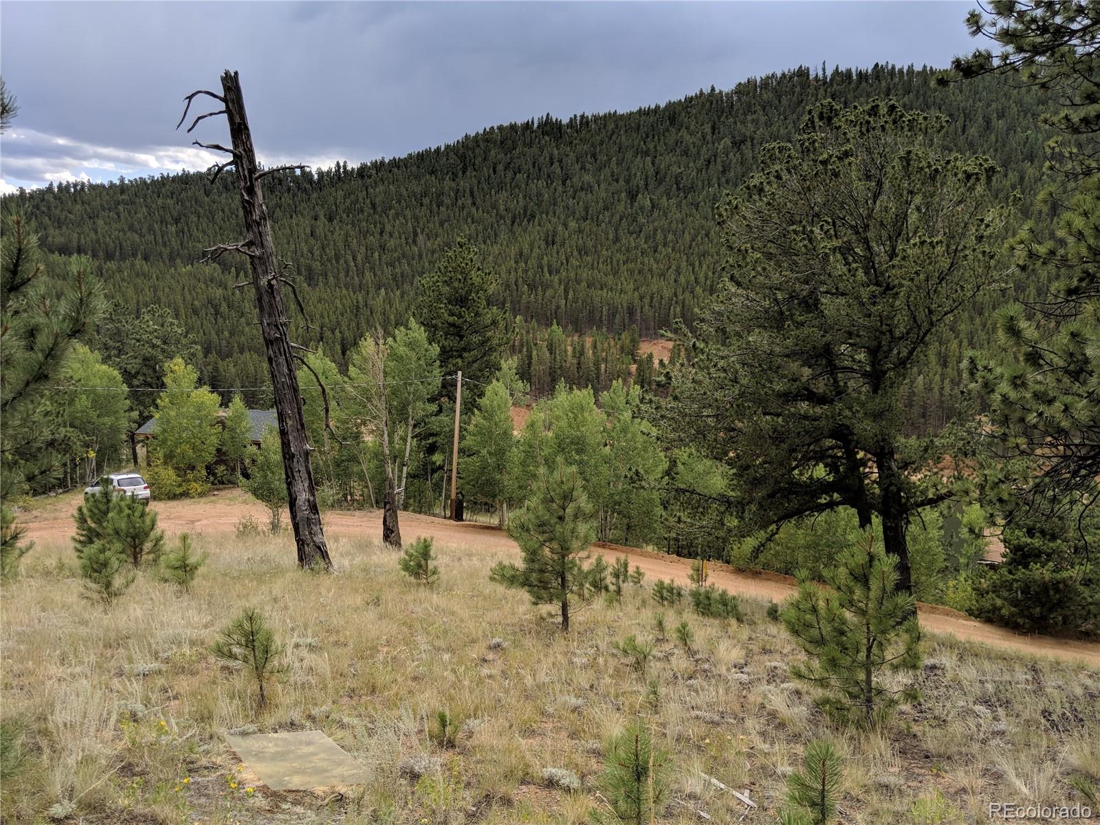 693 Gross Road Bailey, CO 80421 - Photo 6 of 23
