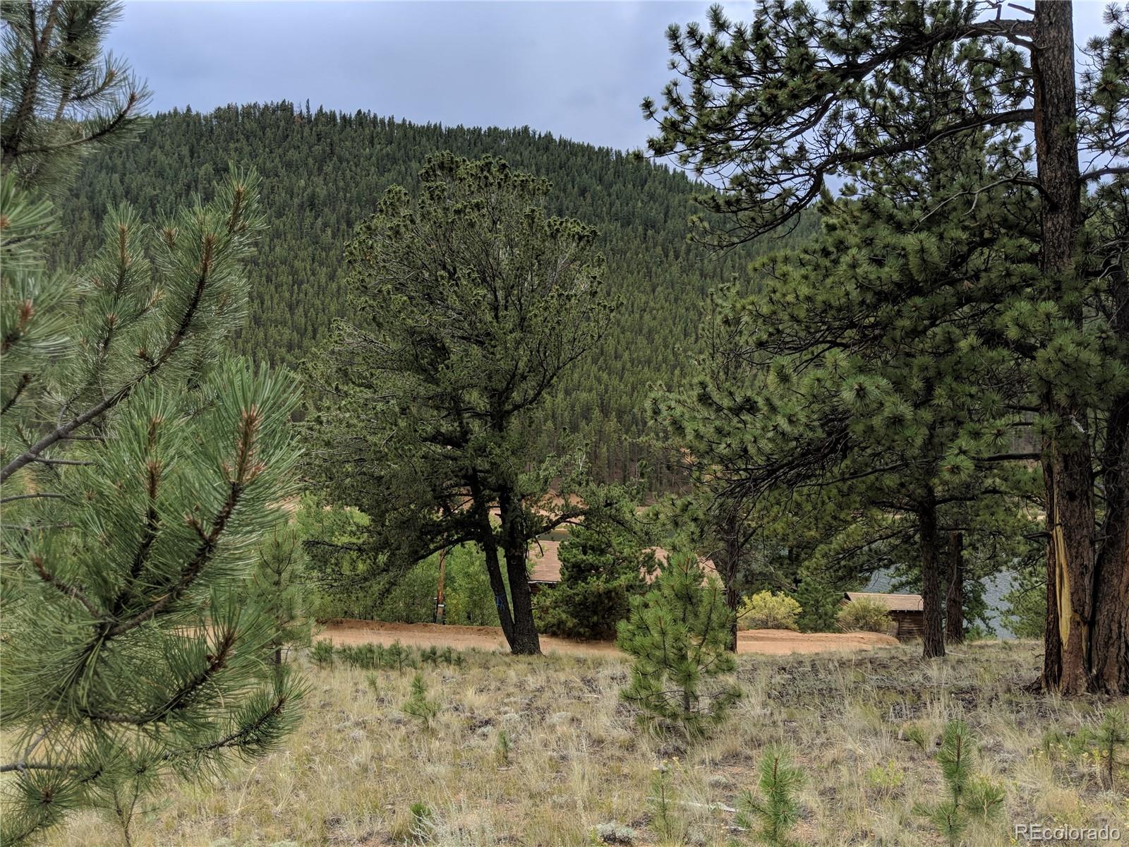 693 Gross Road Bailey, CO 80421 - Photo 8 of 23