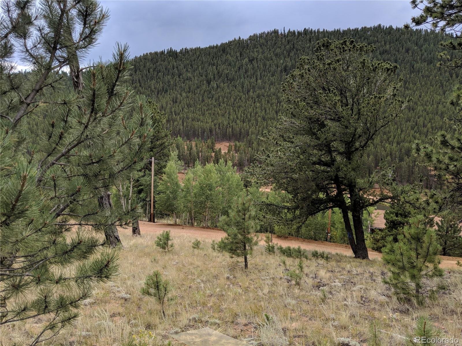 693 Gross Road Bailey, CO 80421 - Photo 9 of 23