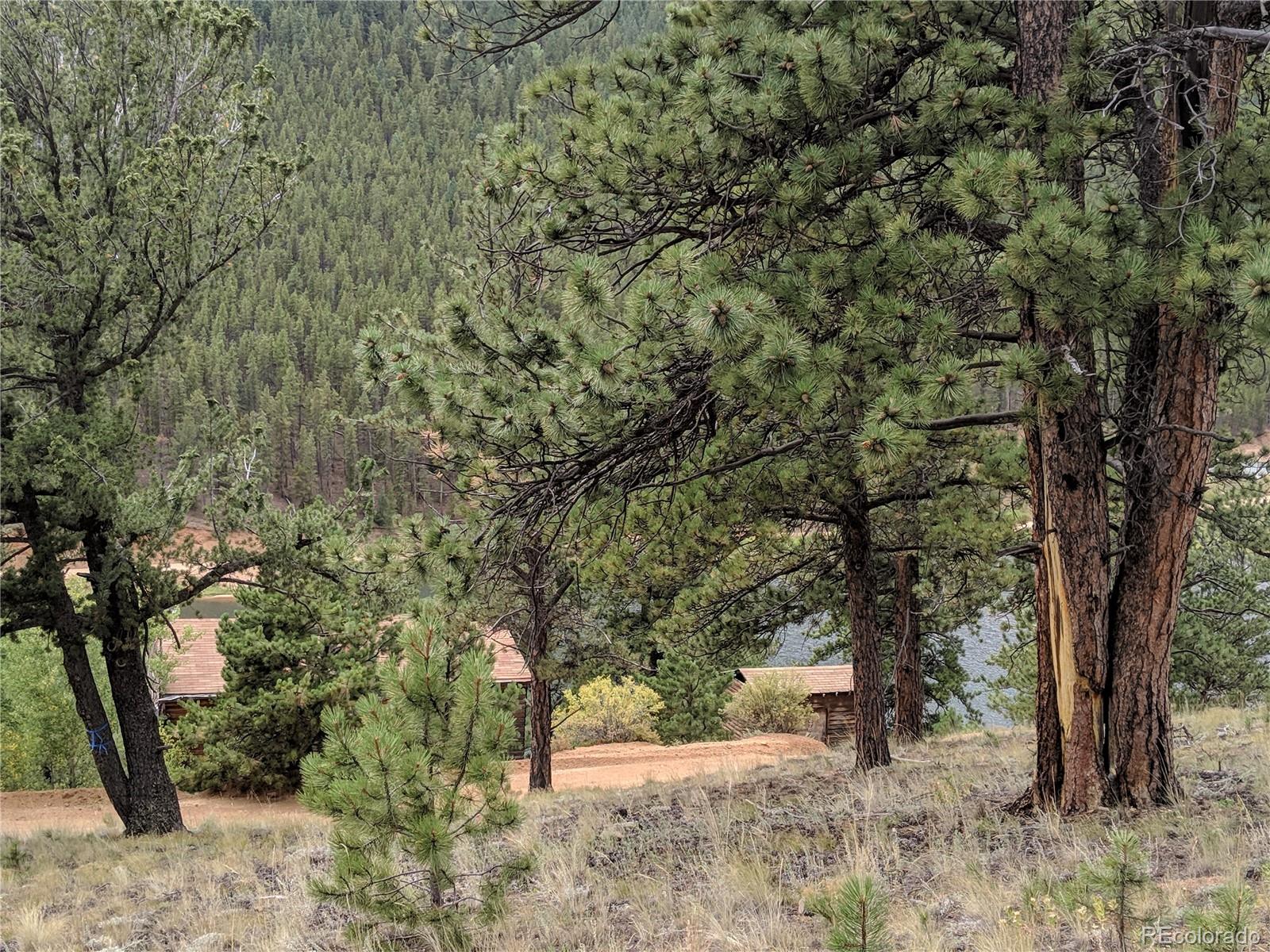 693 Gross Road Bailey, CO 80421 - Photo 10 of 23