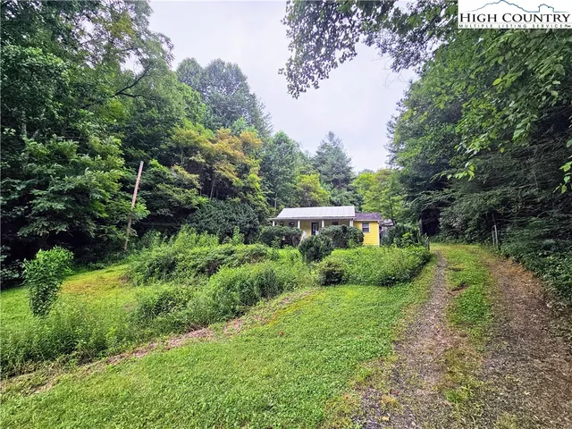 a view of a garden with plants and large trees