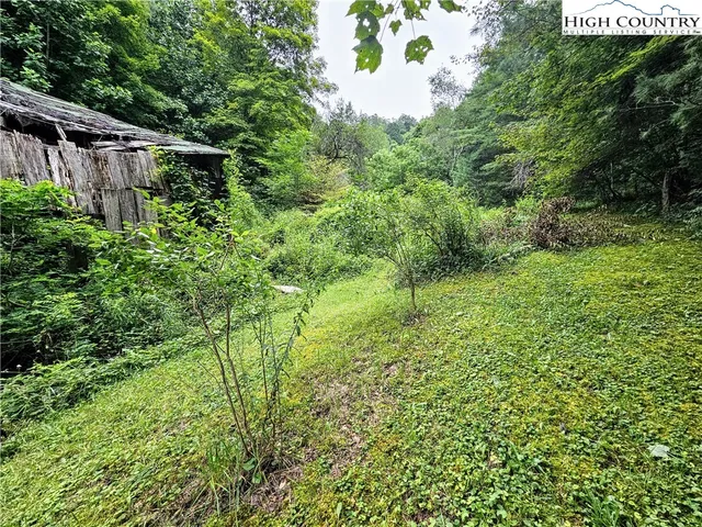 a view of outdoor space and yard