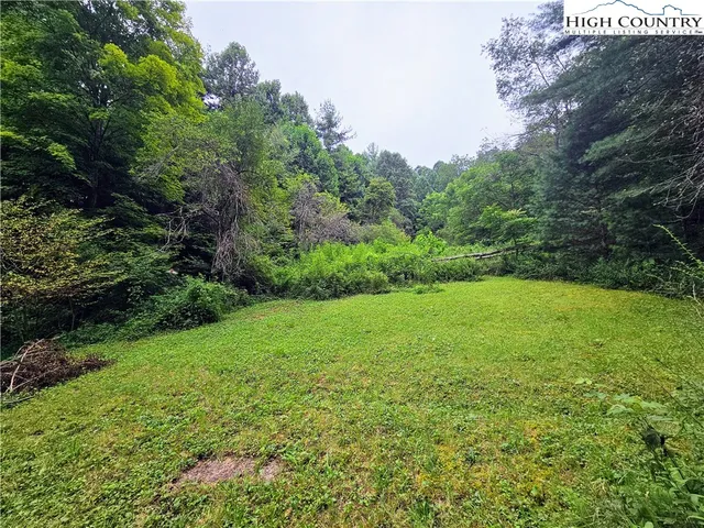 a view of a big yard with plants and large trees