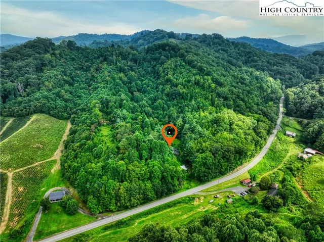 a view of a field with a tree