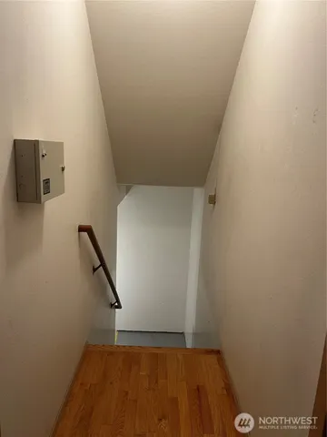 a view of a garden with a bench