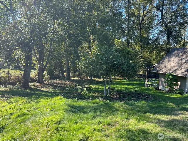 a view of a garden with plants