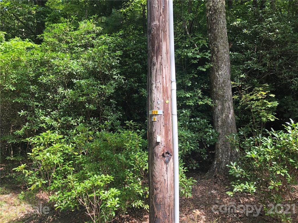 Tbd School House Road, Unit 15 Pisgah Forest, NC 28768 - Photo 11 of 12 a view of a forest with a tree in front of it