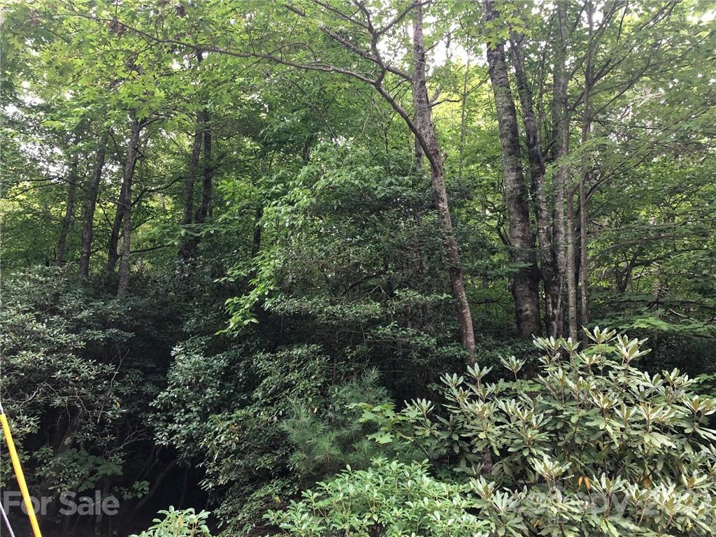 Tbd School House Road, Unit 15 Pisgah Forest, NC 28768 - Photo 10 of 12 a view of a forest with a tree