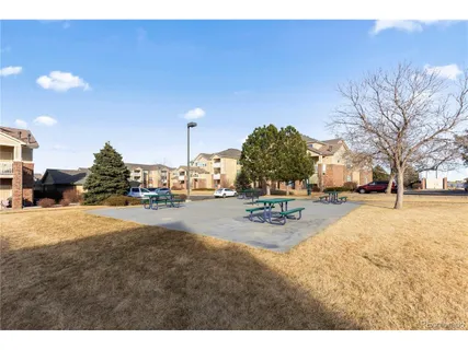 a view of road with large trees