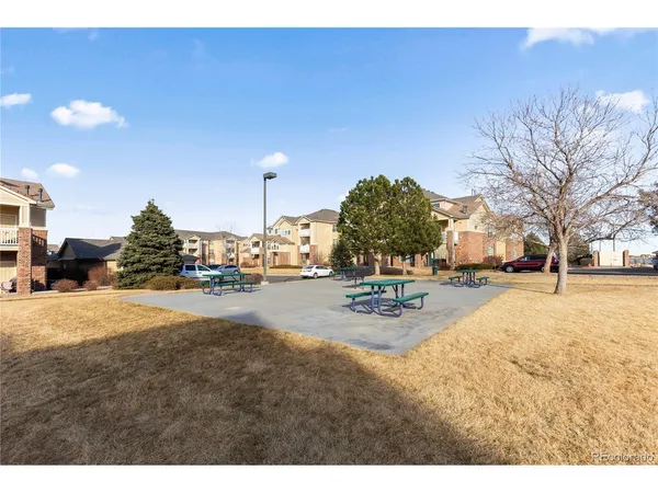 a view of road with large trees