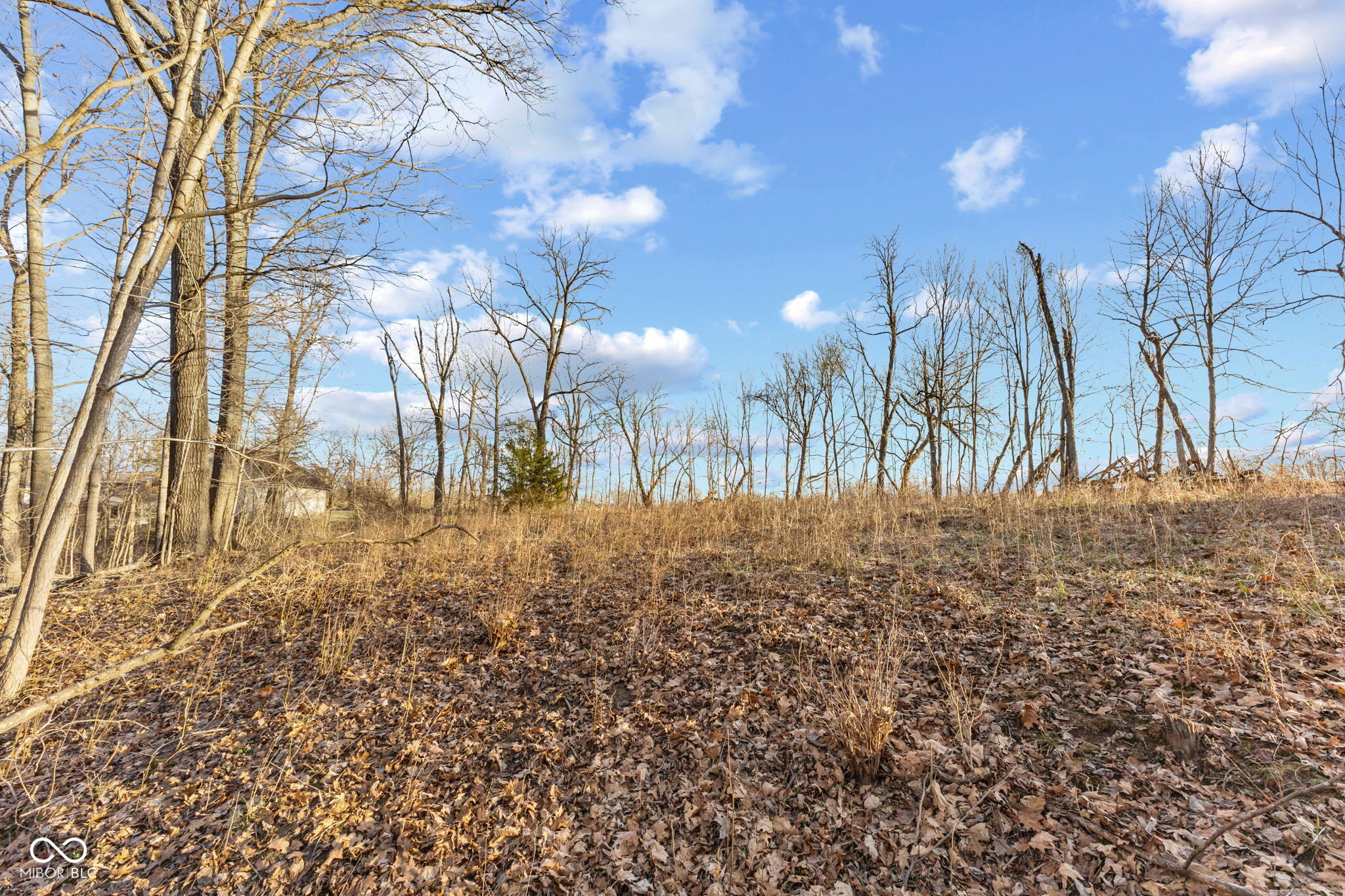 0 Paradise Lake Road Martinsville, IN 46151 - Photo 11 of 28