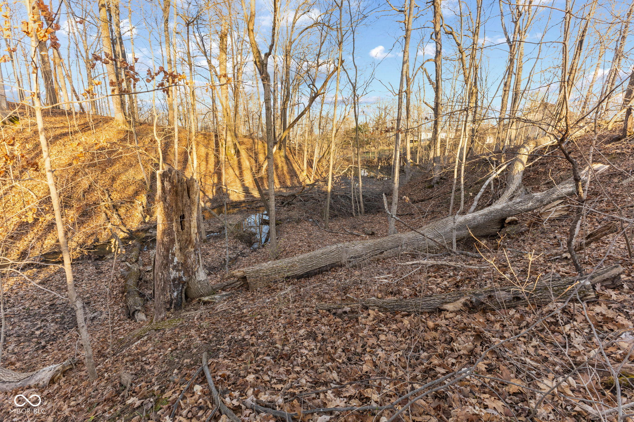 0 Paradise Lake Road Martinsville, IN 46151 - Photo 12 of 28