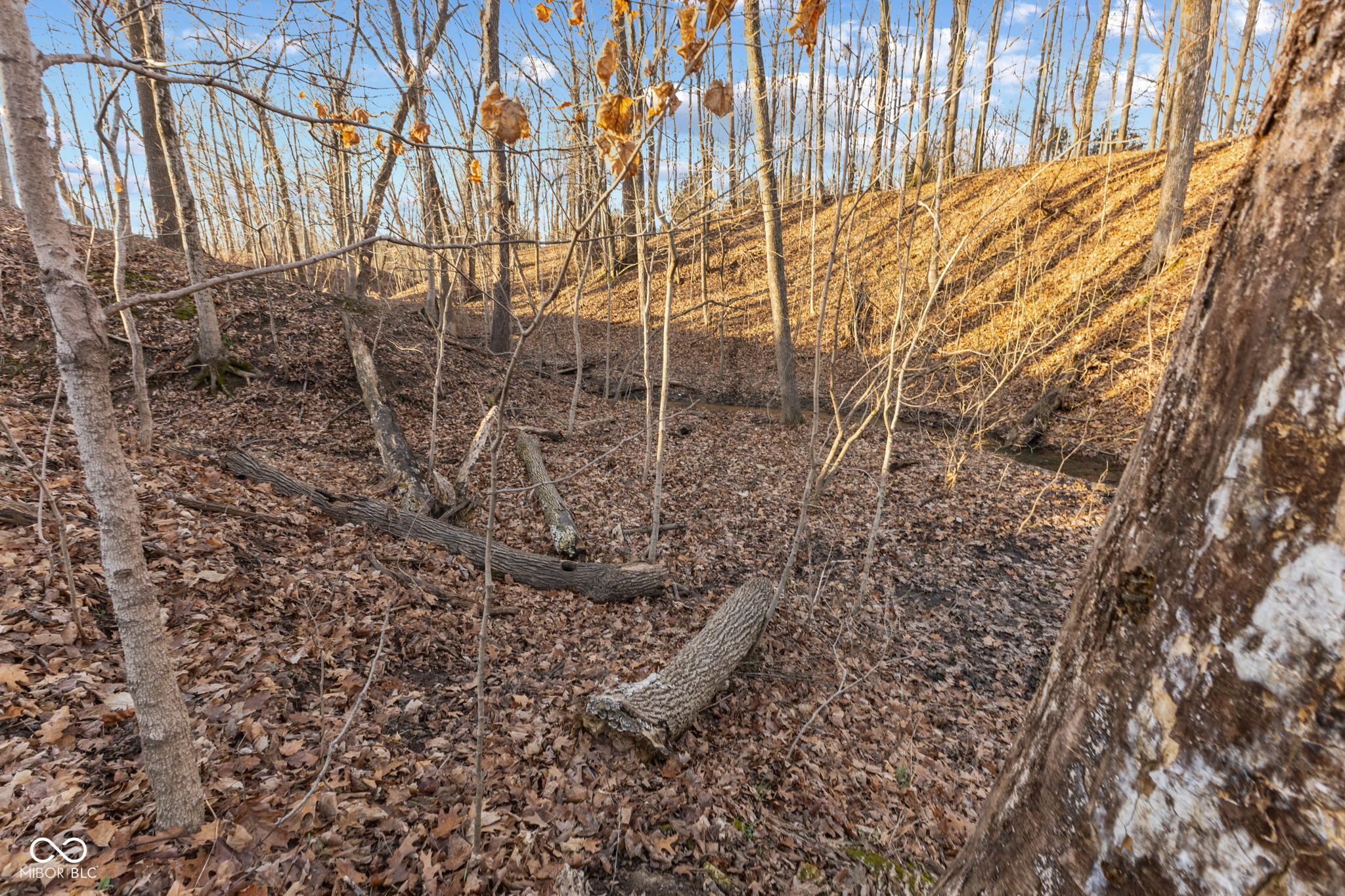 0 Paradise Lake Road Martinsville, IN 46151 - Photo 13 of 28