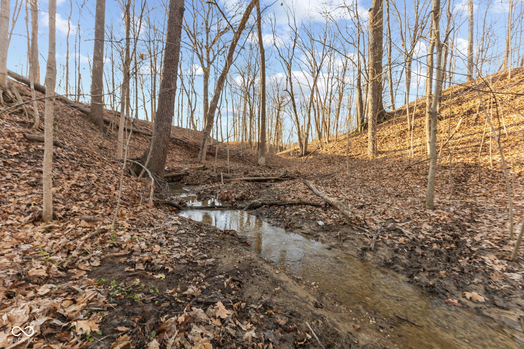 0 Paradise Lake Road Martinsville, IN 46151 - Photo 14 of 28