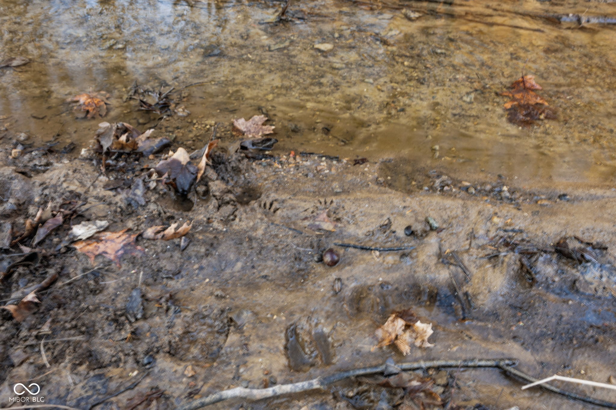 0 Paradise Lake Road Martinsville, IN 46151 - Photo 15 of 28