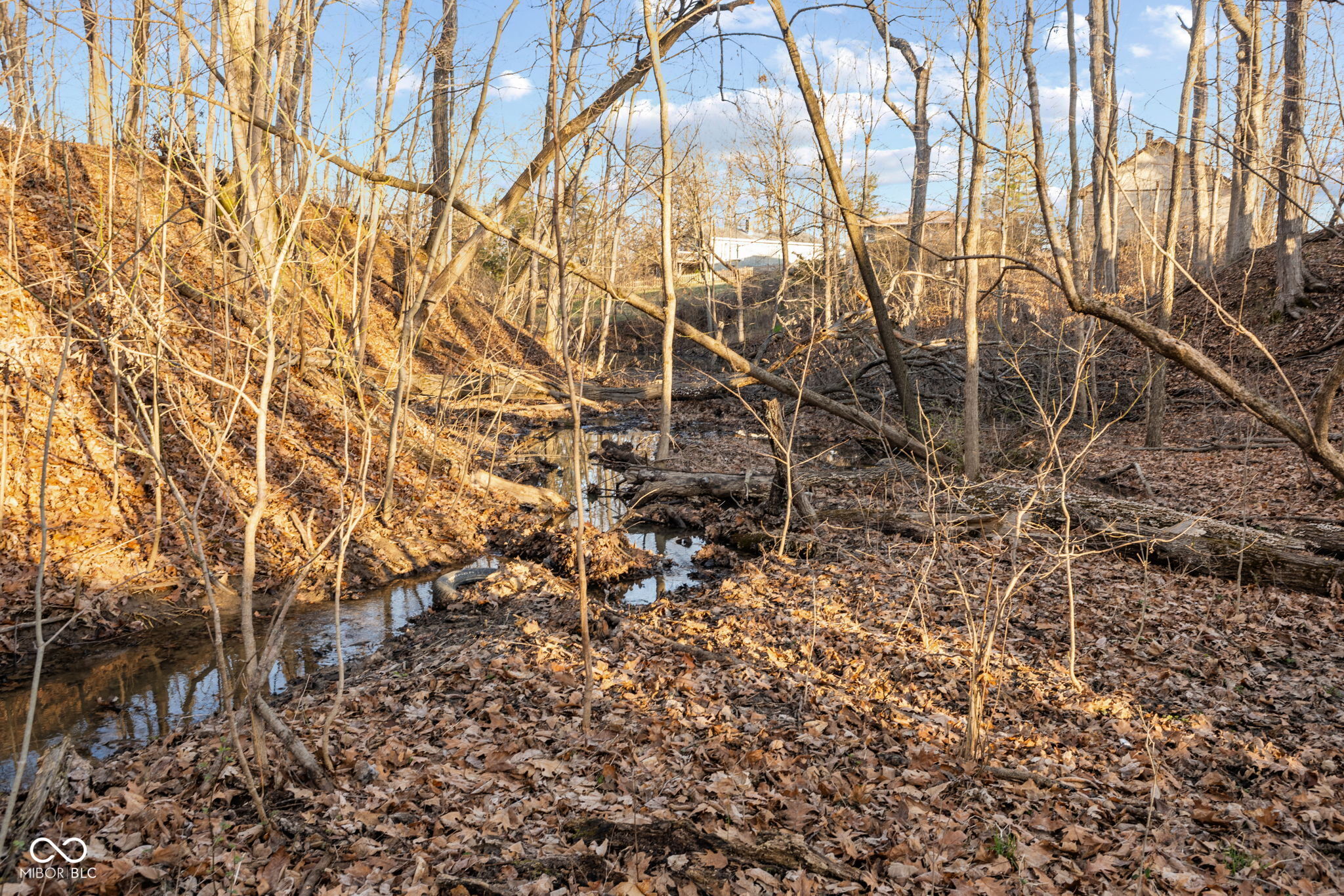 0 Paradise Lake Road Martinsville, IN 46151 - Photo 16 of 28