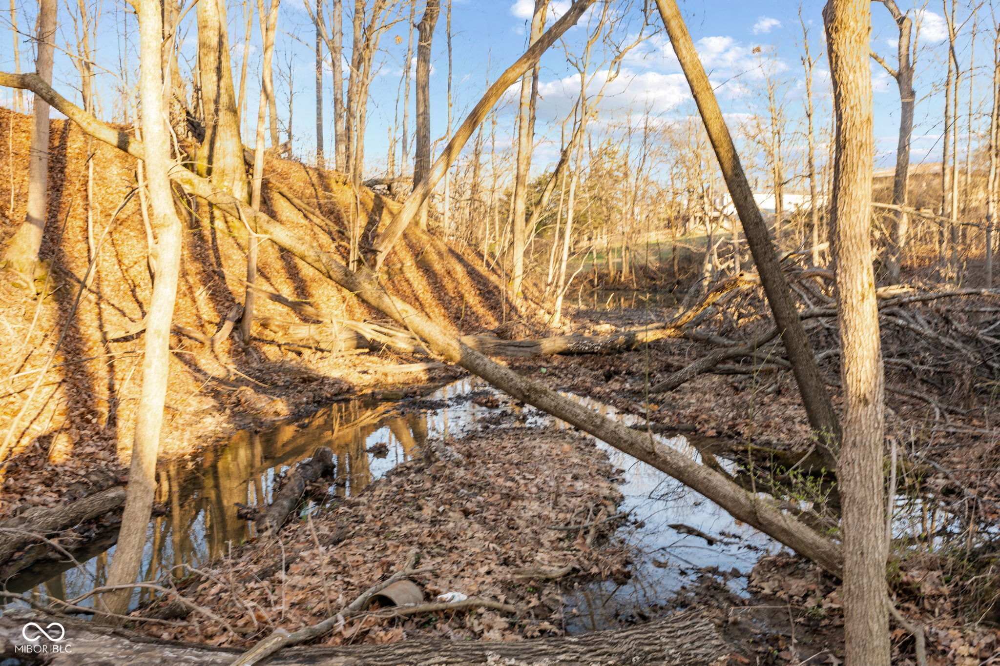 0 Paradise Lake Road Martinsville, IN 46151 - Photo 17 of 28
