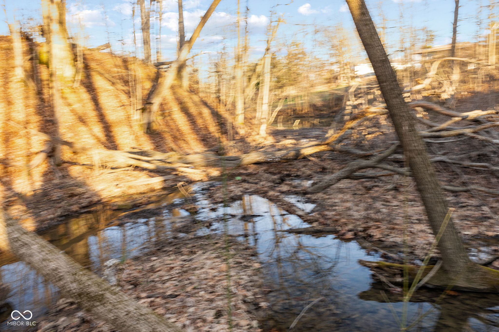 0 Paradise Lake Road Martinsville, IN 46151 - Photo 18 of 28