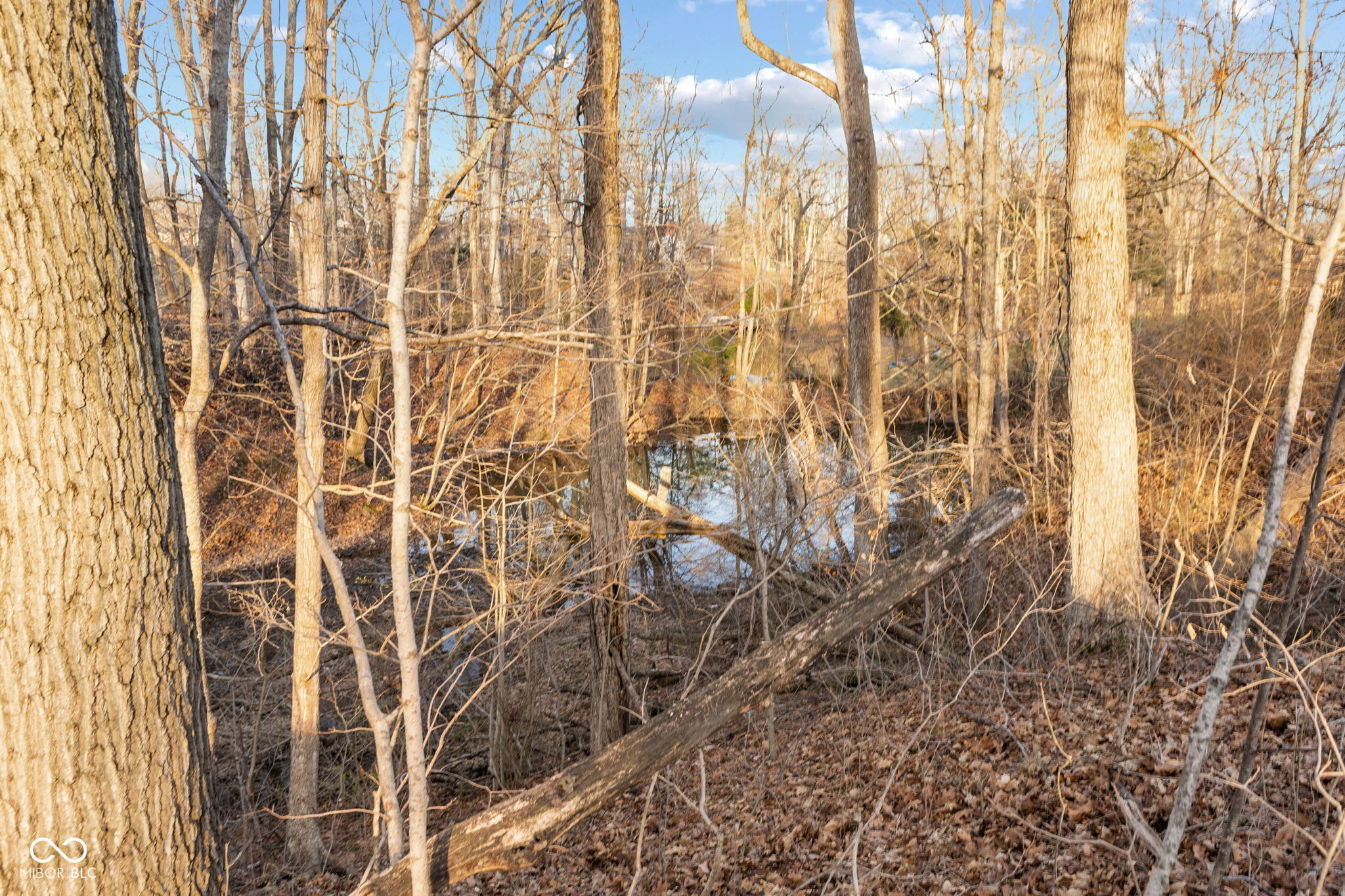 0 Paradise Lake Road Martinsville, IN 46151 - Photo 19 of 28