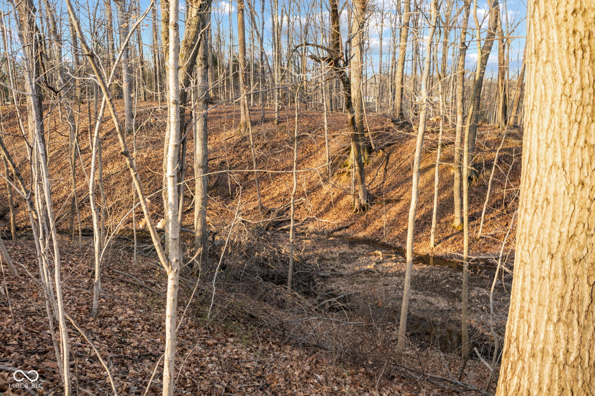 0 Paradise Lake Road Martinsville, IN 46151 - Photo 20 of 28