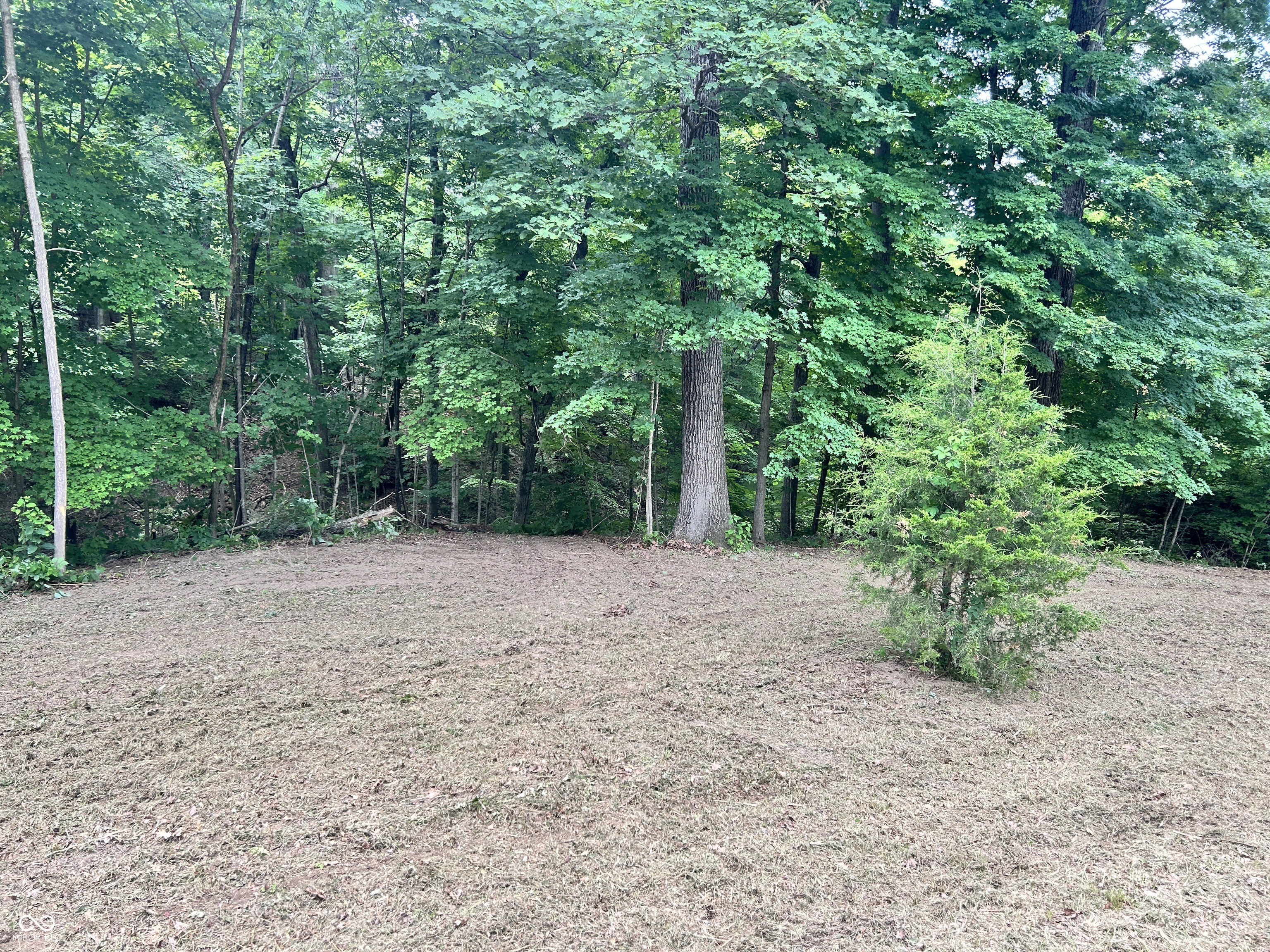 0 Paradise Lake Road Martinsville, IN 46151 - Photo 4 of 28