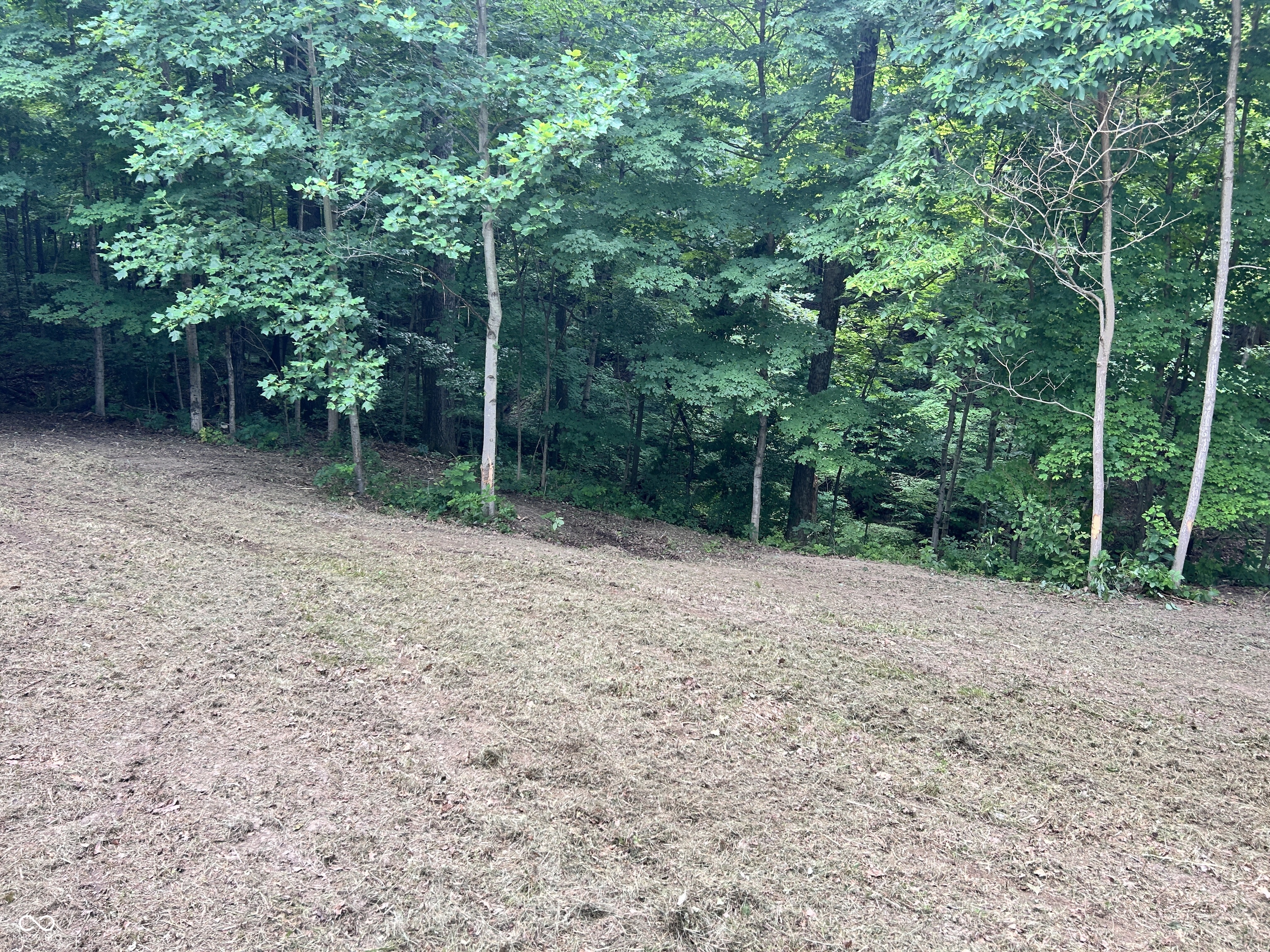 0 Paradise Lake Road Martinsville, IN 46151 - Photo 5 of 28