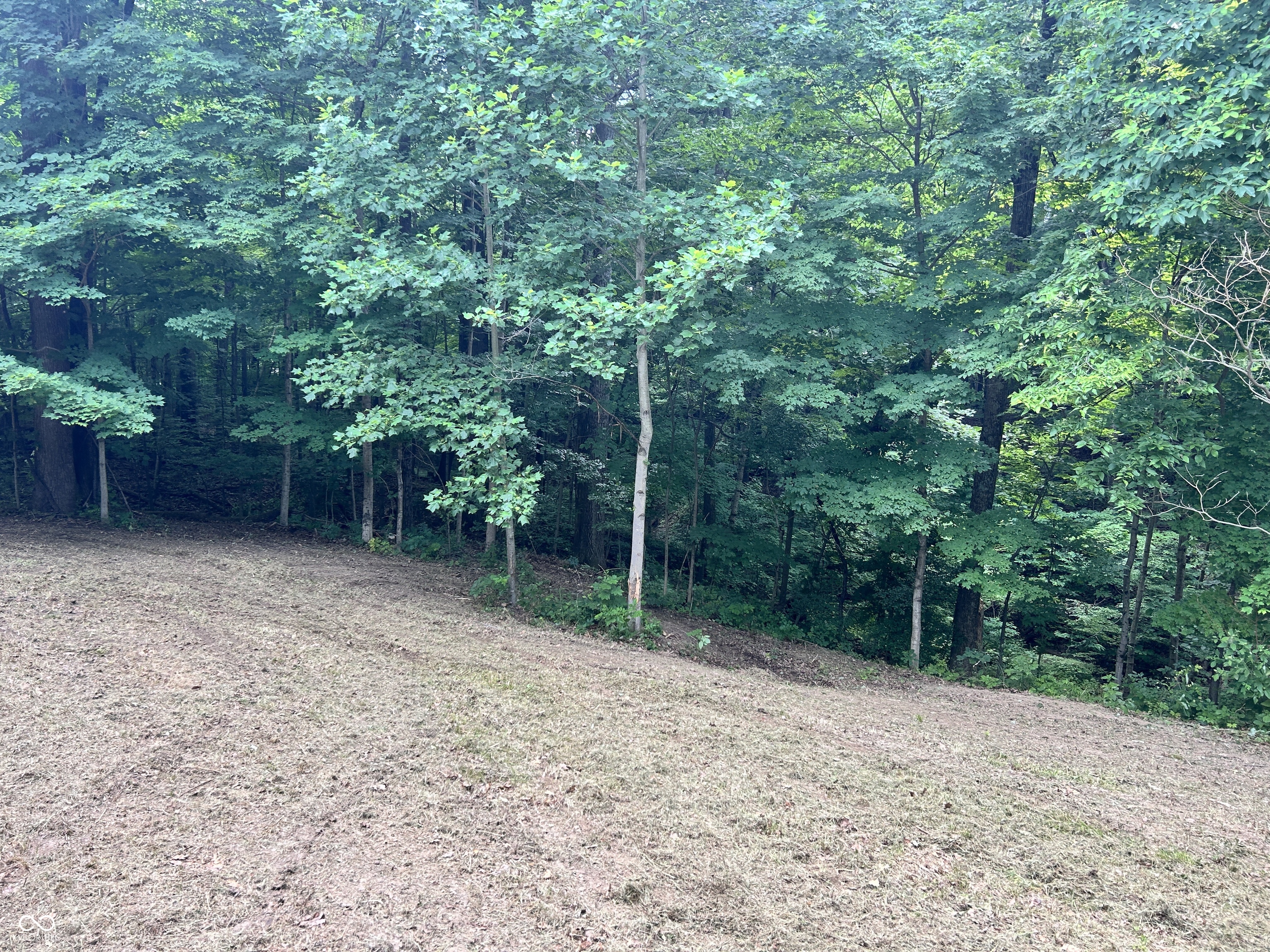 0 Paradise Lake Road Martinsville, IN 46151 - Photo 6 of 28