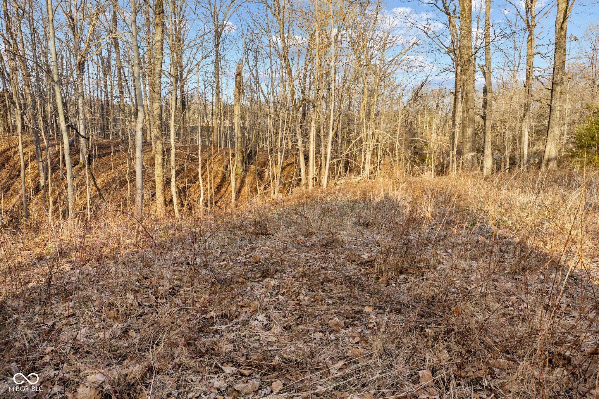 0 Paradise Lake Road Martinsville, IN 46151 - Photo 7 of 28