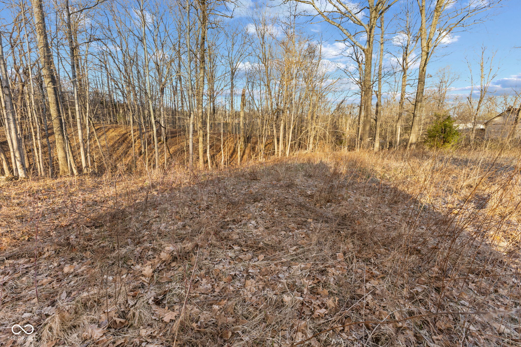 0 Paradise Lake Road Martinsville, IN 46151 - Photo 8 of 28