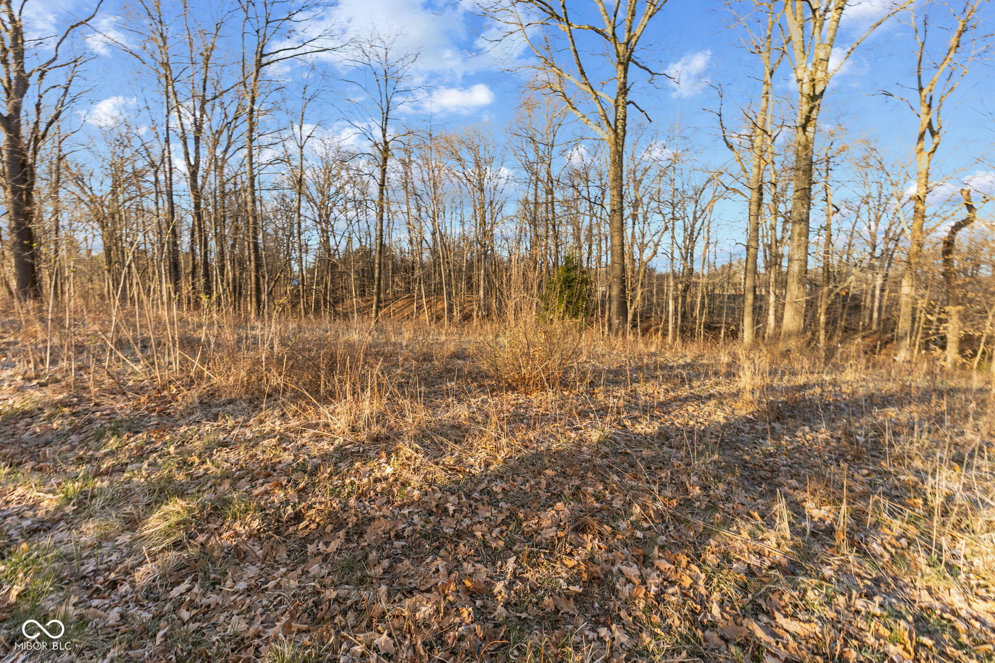 0 Paradise Lake Road Martinsville, IN 46151 - Photo 9 of 28