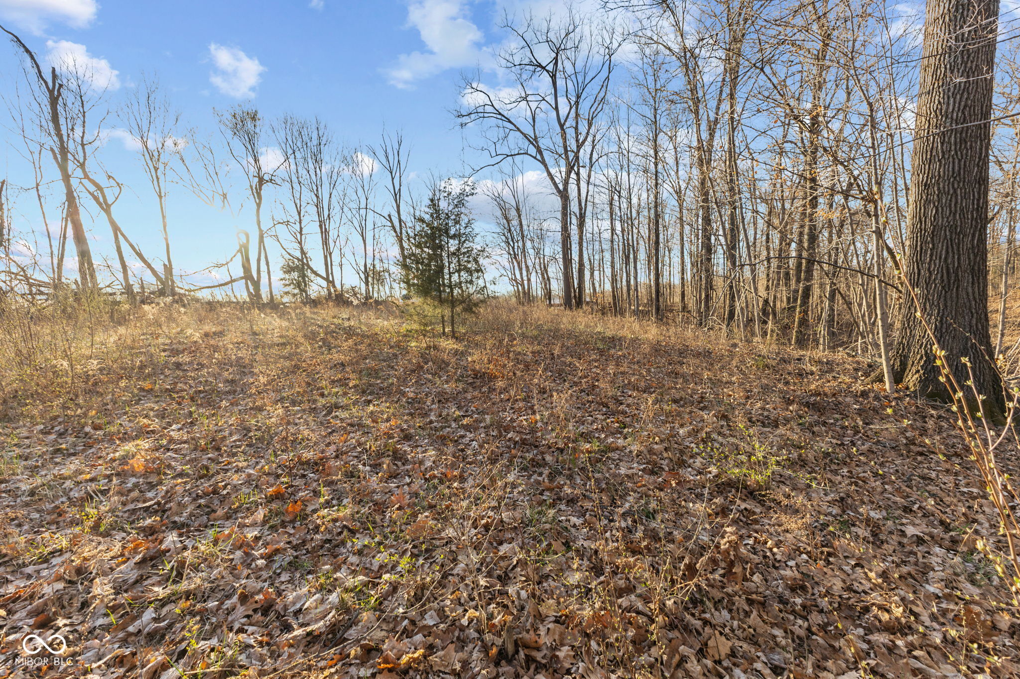 0 Paradise Lake Road Martinsville, IN 46151 - Photo 10 of 28