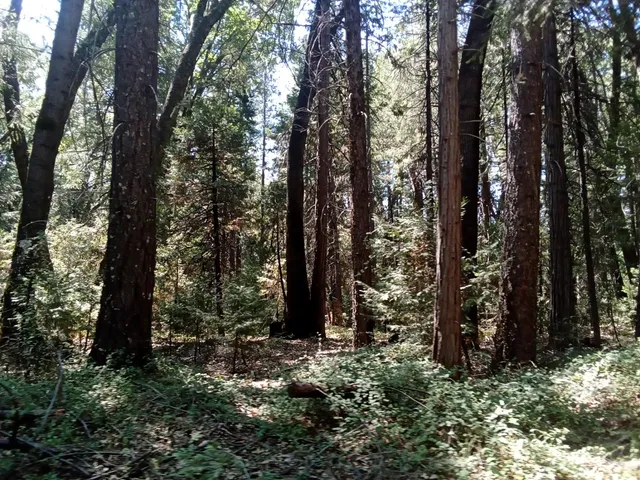 $149,900 | 0 1 Just Road, Foresthill, CA 95631