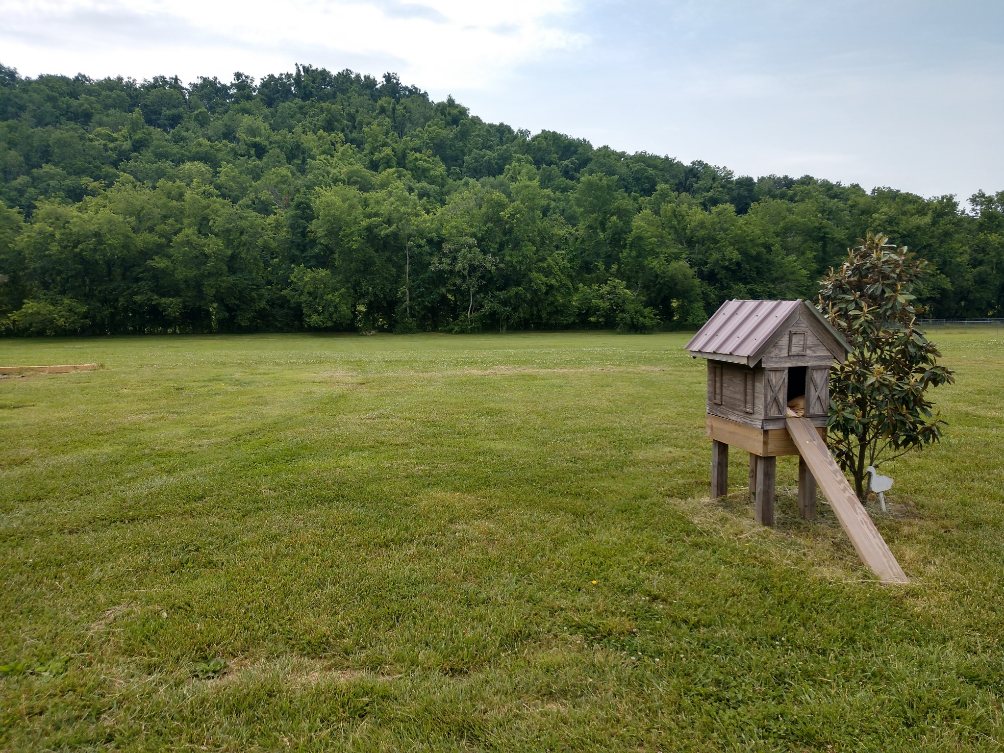 657 Happy Valley Road Bell Buckle, TN 37020 - Photo 14 of 34 Gallery Image 14