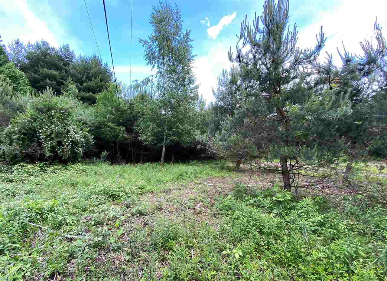 Puttygut Road Casco, MI 48064 - Photo 2 of 13 Gallery Image 2