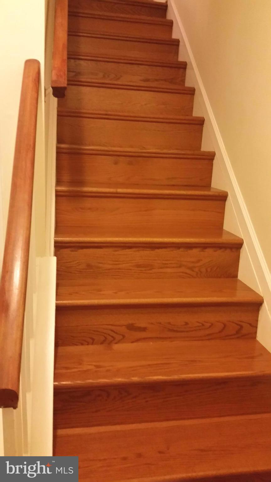 8469 Springfield Oaks Drive Springfield, VA 22153 - Photo 17 of 22 Basement stairs