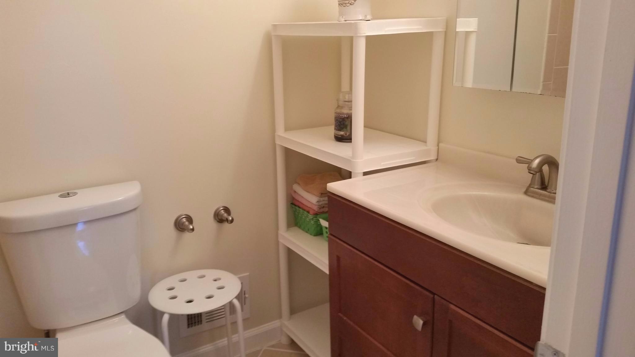 8469 Springfield Oaks Drive Springfield, VA 22153 - Photo 8 of 22 Bath (Master)
