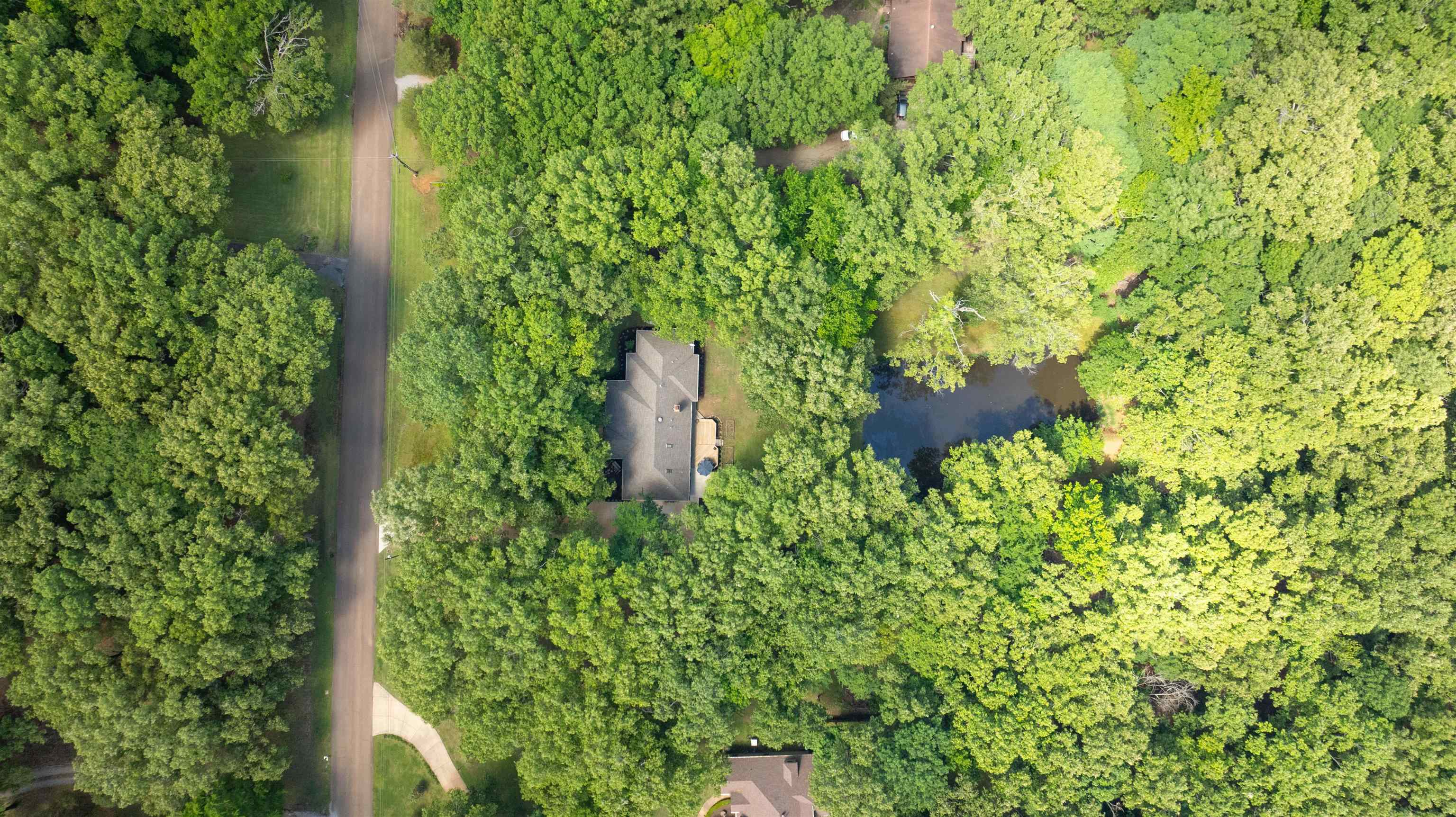 400 Great Oaks Road Eads, TN 38028 - Photo 2 of 40 a plant view in yard