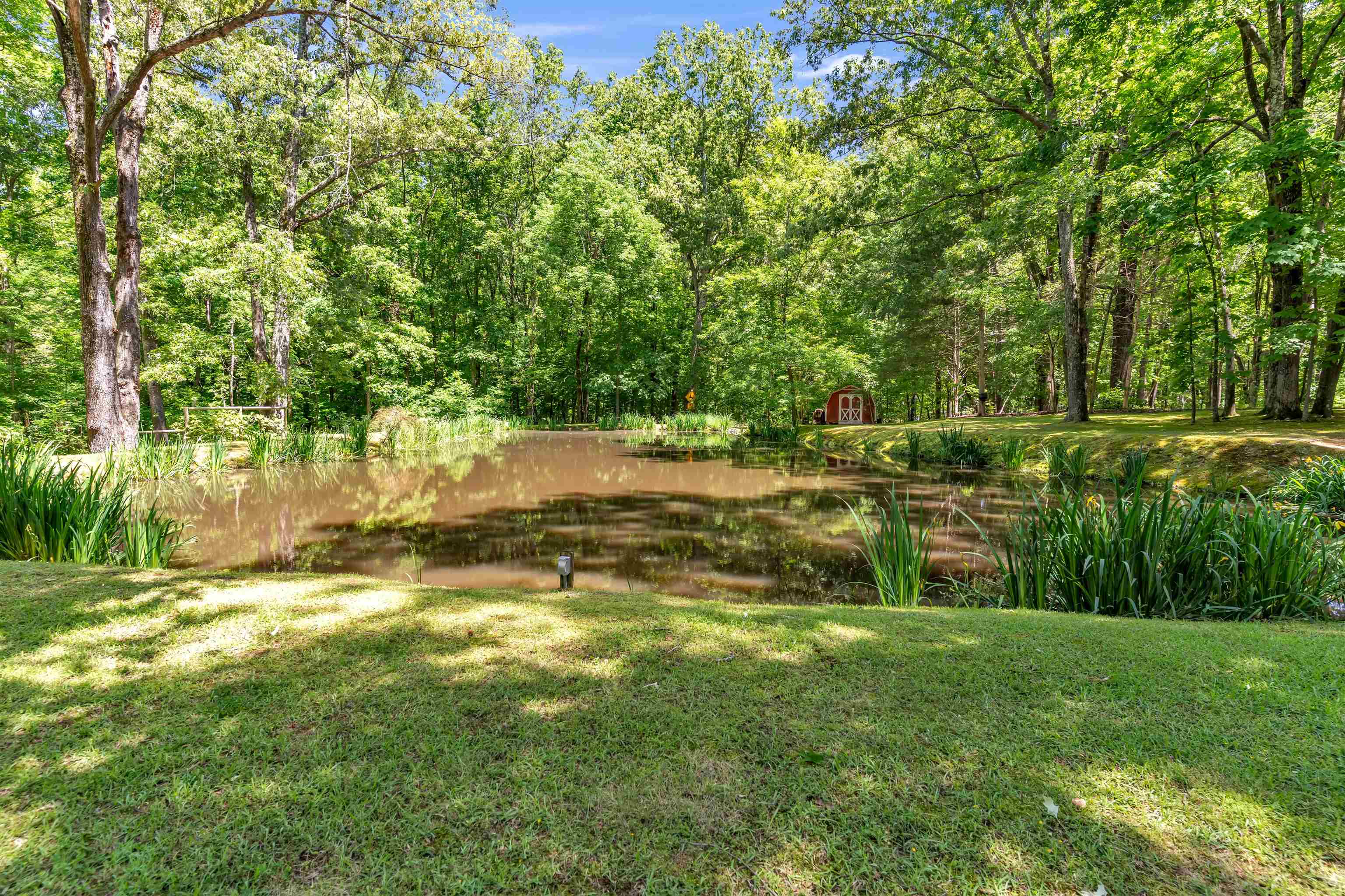400 Great Oaks Road Eads, TN 38028 - Photo 39 of 40 a view of yard with green space