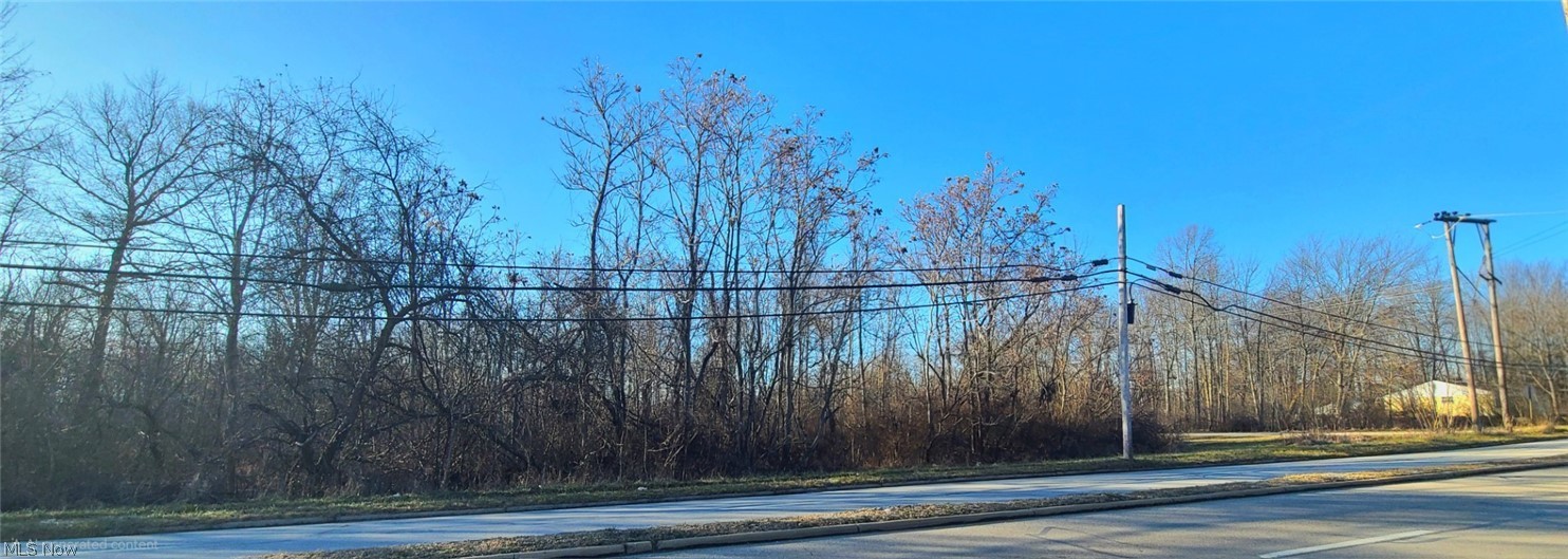 1251 Jacobs Road Youngstown, OH 44505 - Photo 2 of 6 Wooded lot