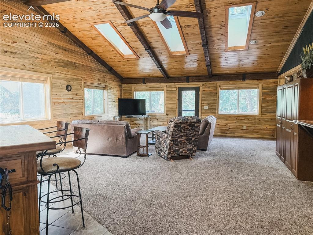 269 Southpark Road Florissant, CO 80816 - Photo 7 of 38 a living room with furniture a flat screen tv and a table