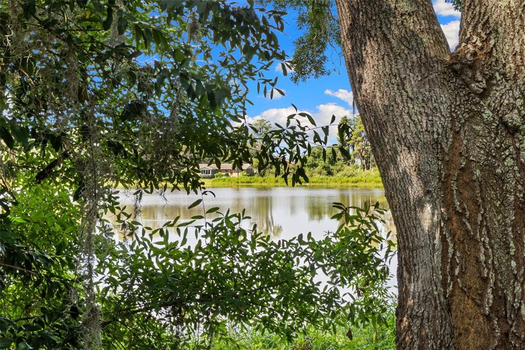18117 Boy Scout Road Odessa, FL 33556 - Photo 20 of 21 Gallery Image 20