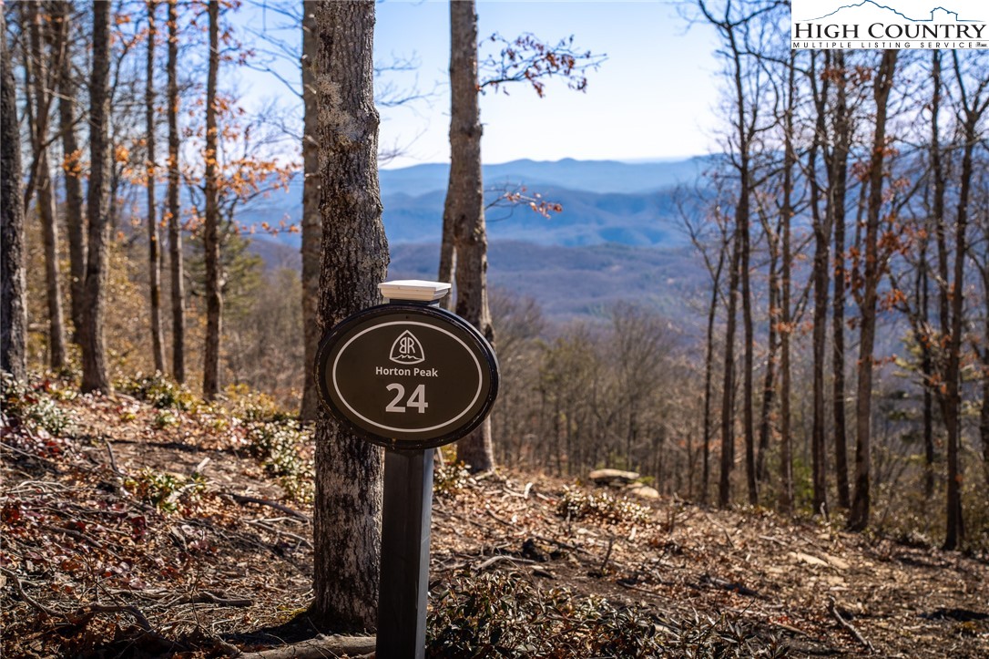 24 Bluebell Trail Boone, NC 28607 - Photo 8 of 50 Gallery Image 8